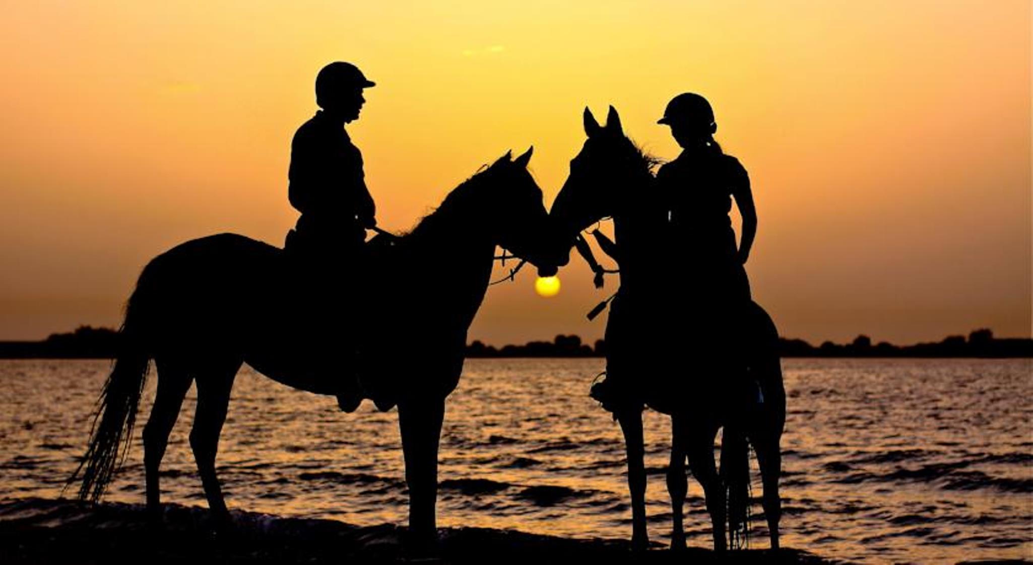 Anantara Sir Bani Yas Island Al Yamm Villa Resort Da'sah Zewnętrze zdjęcie